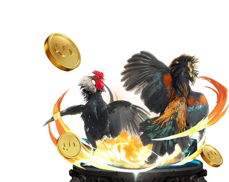 Người chơi tận hưởng các trò chơi casino và cá cược thể thao trên hit clup.win